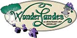 Logo of the website Wonderlandes