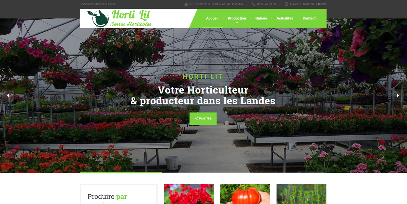 Création du site internet d'Horti Lit