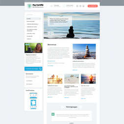 Création du site internet à Bordeaux de Psy Certifié